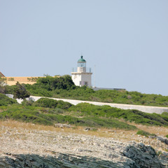 Die Bunten Blätter (Meule Original)