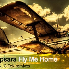 LTN & Apsara - Fly Me Home (G-tek Edit) // Silk Digital [2013]