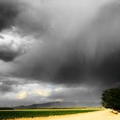 K20 - RAINSTORM