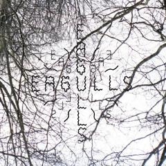 Eagulls - Where Were You? (The Mekons)