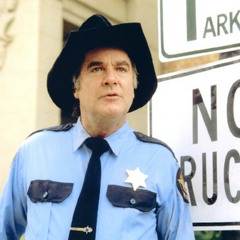 Roscoe P. Coltrane - Hand In The Cookie Jar