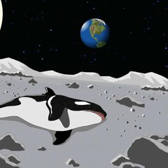 A Case For Shame ( Prad Bit Remix)