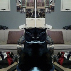 4650_Final_Project_Bounce_Two