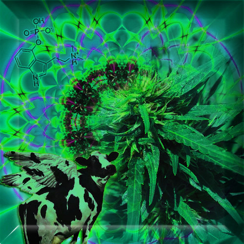 3bean - Trading Yen for Zen (Remix) [WIP]