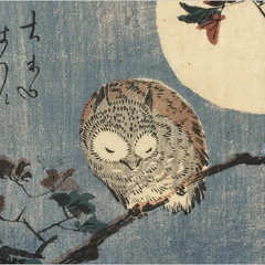"Lonely Owl" by Gold Panda (Timber Son Rmx)