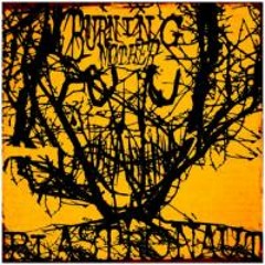 Blastronaut - Synthetic Sun