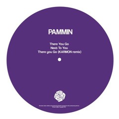 Pammin - There You Go ( Karmon Remix )