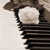 When I Was Your Man-Bruno Mars (Piano Cover)