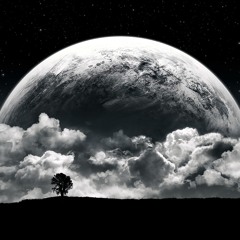 Rise by Jay Michael Allyn