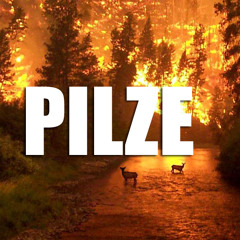 [TBT] Storm - It's Time To Burn (Pilze's Hard Dance Remix)
