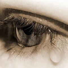 Same Old Beginning-Morning Soon Covered By Bestberry