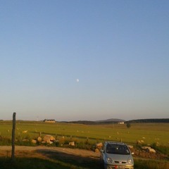 The Silence of the Breeze