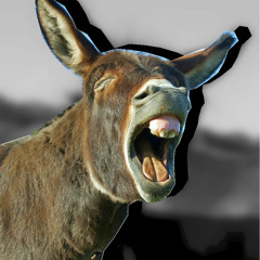 Donkey Butt (Rough Bootleg)