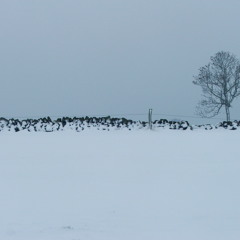 Soul Sing Out (This Christmas) - DEMO