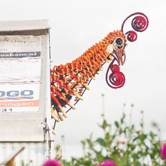 Laer-Akkermolen - Uit de veren en op de Markt!!