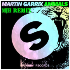 Martin Garrix - Animals (HYKARL REMIX)