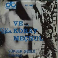 Meçhul (Erkin Koray)