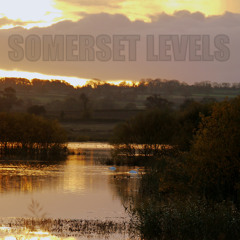 Somerset Levels (Album Version)