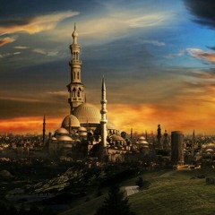 قصدت باب الرجا -محمد إبراهيم الدسوقى -