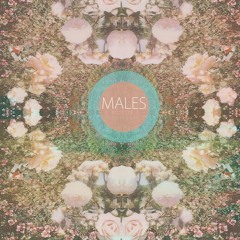 Males - Lucky Too