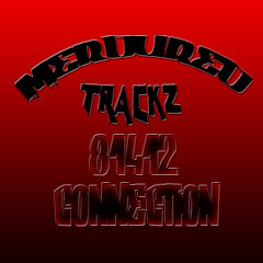 Merdur- Hopin (Engineered By- PayraiseProductions)