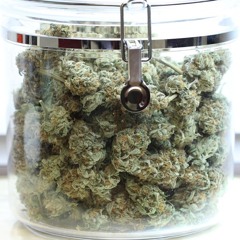 Trempée Dans L'miel