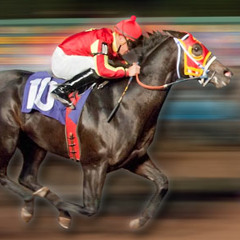 Oscar Solis Y Su Banda Magistral- "El Shaka"