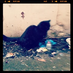 white fence cover ghetto phone take