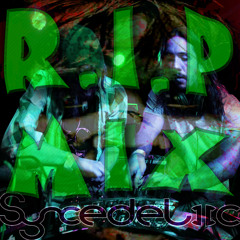 R.I.P Mix 2013