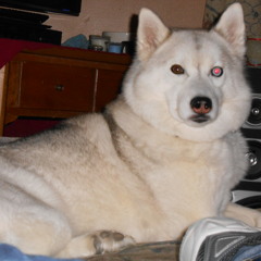 Talk About It Be About It Puff Ft. Theory & Caleb Tha Kidd