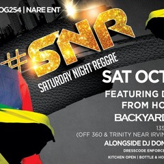 Dj Shinski - Sat Nite Reggae Dallas Promo Mix