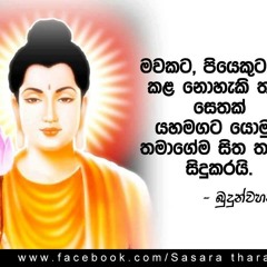 Chamara Weerasinghe - Meemessa.com 5