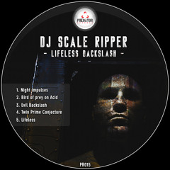 Evil Backslash - Dj Scale Ripper (preview)