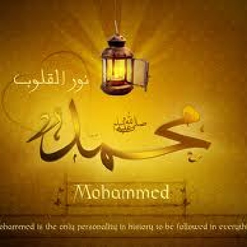 هارموني _ محمد نور