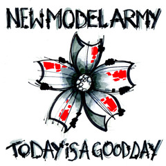 NEW MODEL ARMY