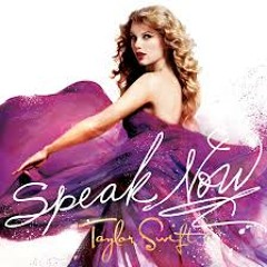 Speak Now - Taylor Swift (cover)