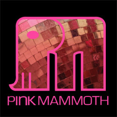 Live from Pink Mammoth - Burning Man 2013