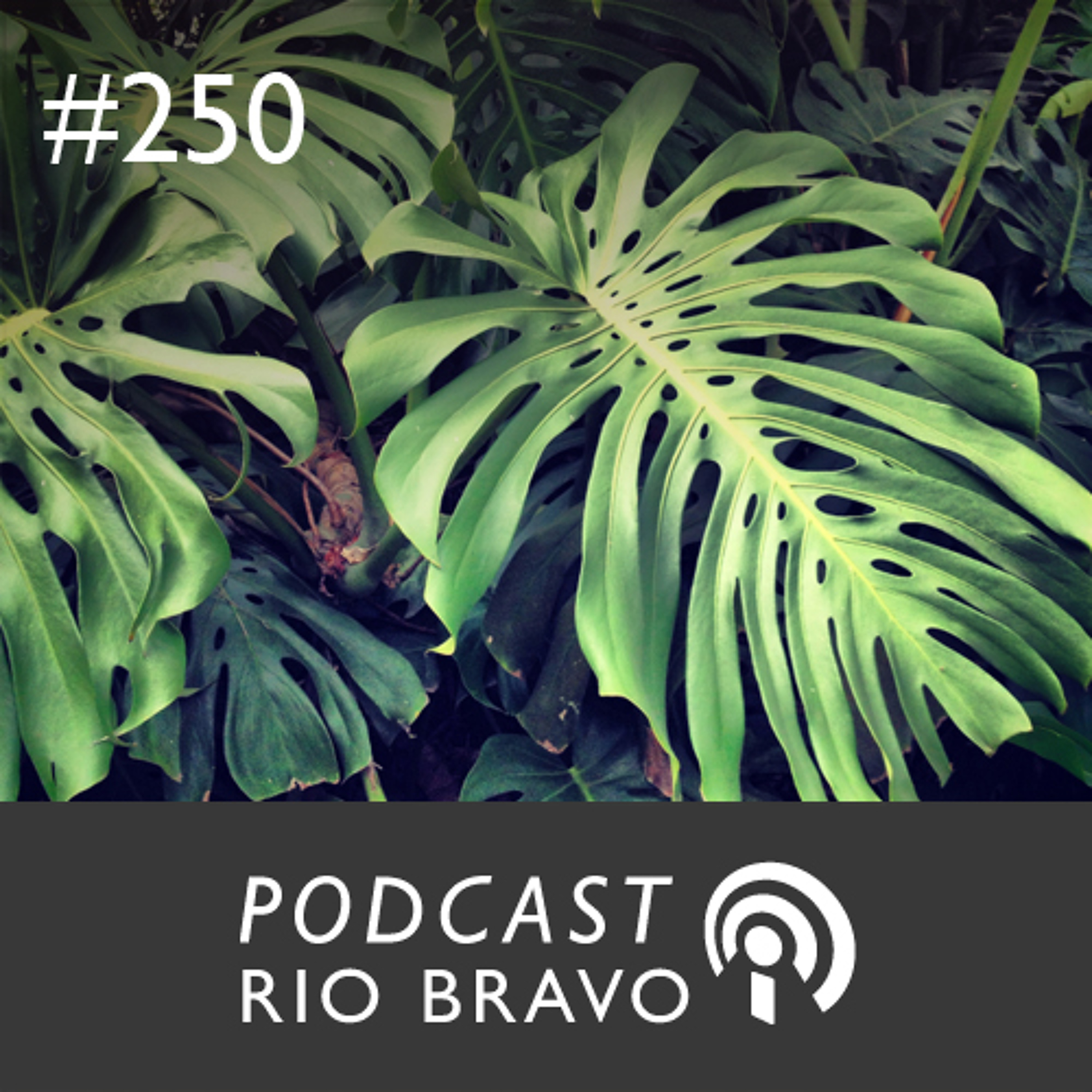 Podcast Rio Bravo - 2013
