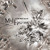 Artwork for 6th & Qerity Ft. MC Dahl Headland - AfterLife(preview)