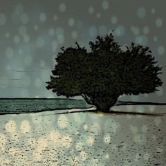 A Leaf in the Wind (Draft 2)