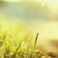 Little Things