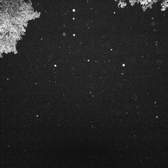 06 Cherry O' Sullivan