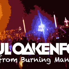 Paul Oakenfold - Live From Burning Man 2013