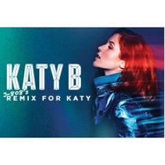 Katy B - 5AM (J-808 Remix) HQ Free Download !