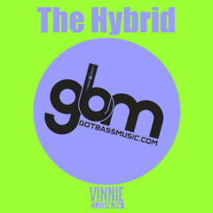 The Hybrid (Original Mix)