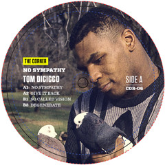 B2. Tom Dicicco "Degenerate" [clip]