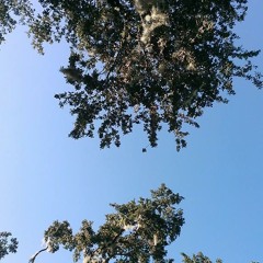 Jdub - Beautiful Day 10-25-13