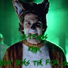 What does the fox say remix K-Travis