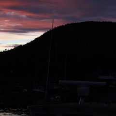 Anyway (The Indolent)