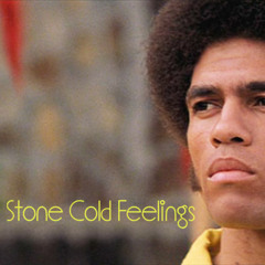 Stone Cold Feelings